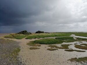 Paysage de la Baie de Somme