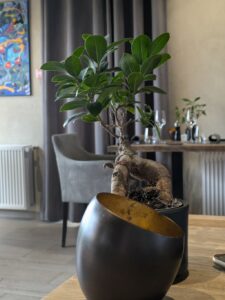 Intérieur du restaurant l'Arbre à Gruson