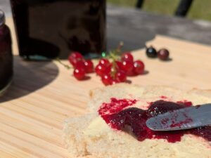 Tartine de gelée de groseilles et cassis