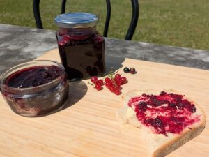 Tartine de gelée de groseilles et cassis