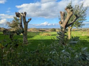 Vue depuis une fenêtre de l'auberge du Vert Mont