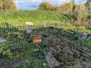 Petit carré d'herbes aromatiques à proximité de l'auberge du Vert Mont