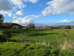Vue sur la campagne flamande depuis l'Auberge du Vert Mont