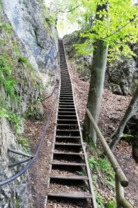 L'escalier pour atteindre la colline d’Ojstrica en Slovénie
