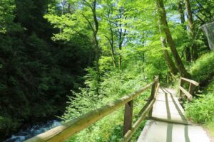 Promenade le long des gorges de Vintgar en Slovénie