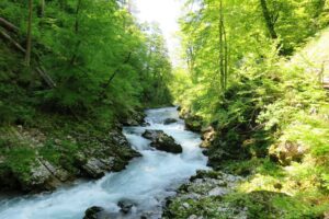 Promenade le long des gorges de Vintgar en Slovénie