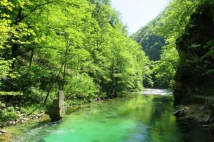 Promenade le long des gorges de Vintgar en Slovénie