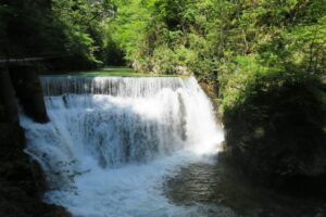 Promenade le long des gorges de Vintgar en Slovénie