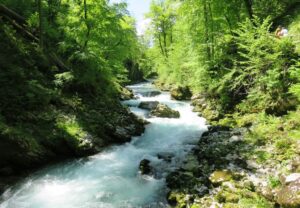 Promenade le long des gorges de Vintgar en Slovénie